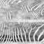 «Zebra», impression sur toile tendue-273134593