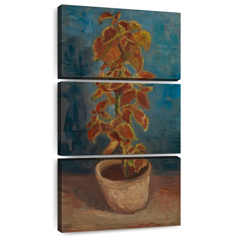 Flame Nettle In A Flowerpot, 52" H x 24" W