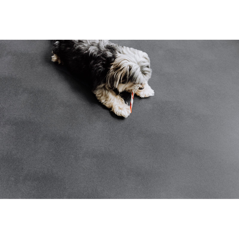 Protecteur de plancher pour animaux Levant, Gris ardoise, L 102 po x P 264 po