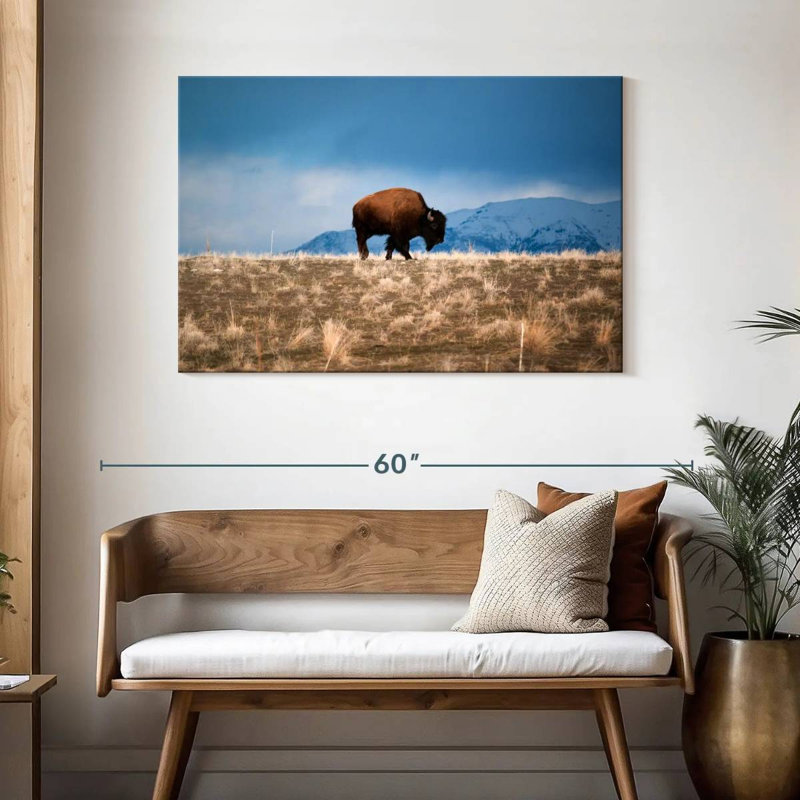 Brampt Antelope Island Bison