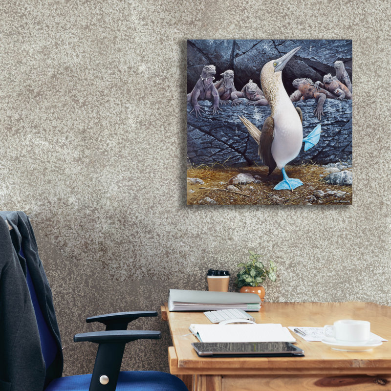 «Epic Graffiti» «Blue Footed Boobies» par Harro Maass, impression sur toile par Harro Maass, L 26 po x H 26 po x P 1,5 po