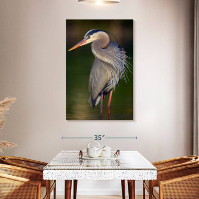 Brampt Wild Great Blue Heron I