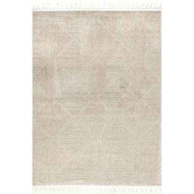 Kerry Textured Geometric Tasseled Area Rug