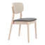 Ensemble de 2 chaises d'appoint Modern