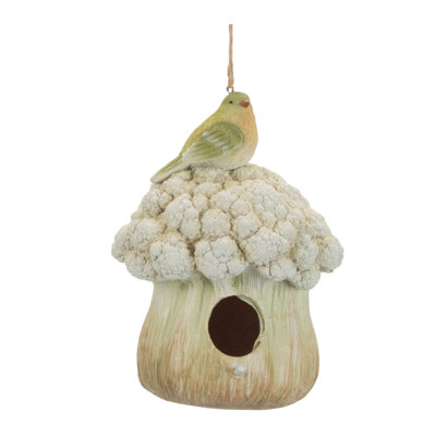 Cauliflower Birdhouse and Hanging Birdbath