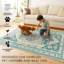 Tapis Saraz Teal avec envers antidérapant-686366307