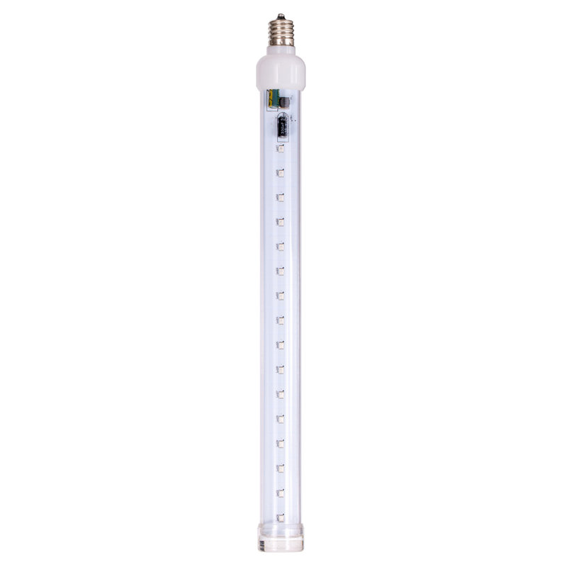 Ampoule