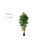72'' Faux Olive Tree Tree in Pot