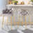 Siboney Luxurious Counter Stool Set-94222393