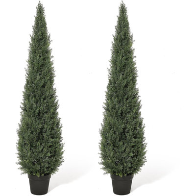 91.5cm Plant