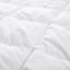 Édredon toutes saisons en duvet et plumes avec housse 100% coton-1856034215