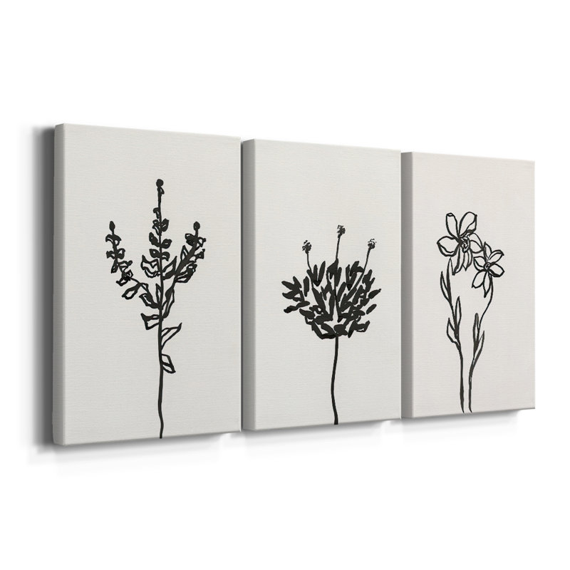 Encre botanique croquis II - Toile tendue sur mesure - 3 pièces, H 12 po x l 24 po