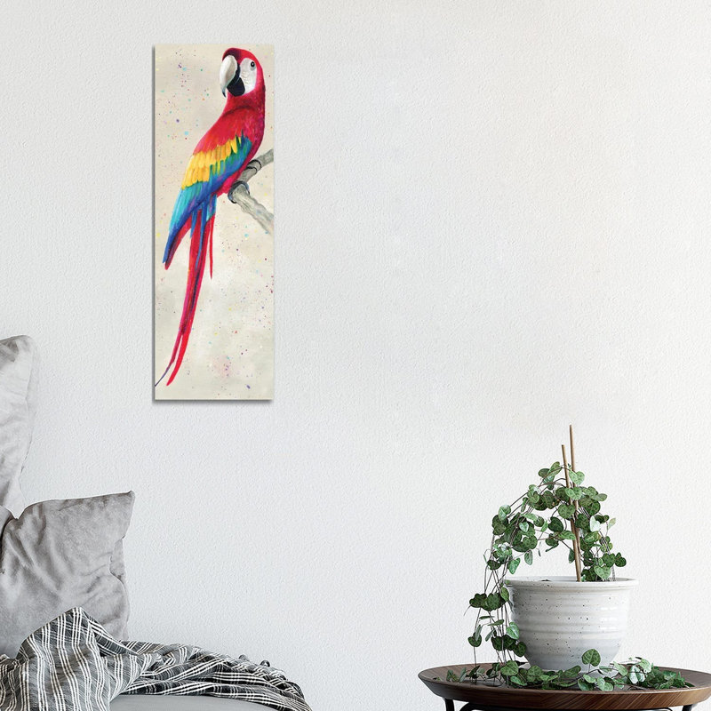 Parrot by Kim Haskins - Panoramic Print on Canvas, 30.48 cm H x 91.44 cm W x 1.91 cm D, Wrapped Canvas