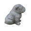 Bulldog