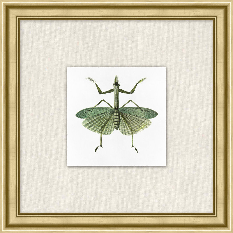 Flying Specimen " Flying Specimen 7 " by Lillian August