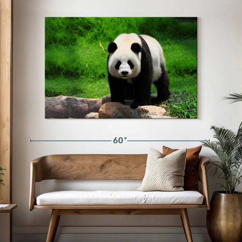 Panda se promenant, H 34 po x l 51 po