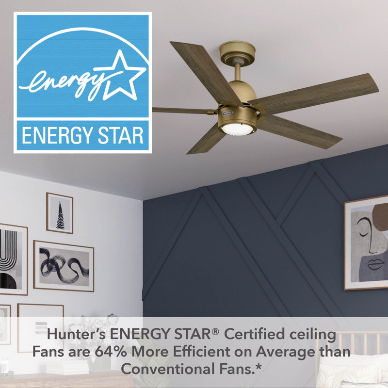 Hunter 52 Inch Erling ENERGY STAR® Ceiling Fan With Lights And Remote, Gold, Gray Wood