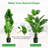 60'' Faux Monstera Deliciosa Tree in Cement Pot