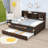 Tammeria Full / Double Daybed with Trundle-647689703