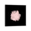 «Pale Pink on Black», impression sur toile-33358368-72432460-72432461
