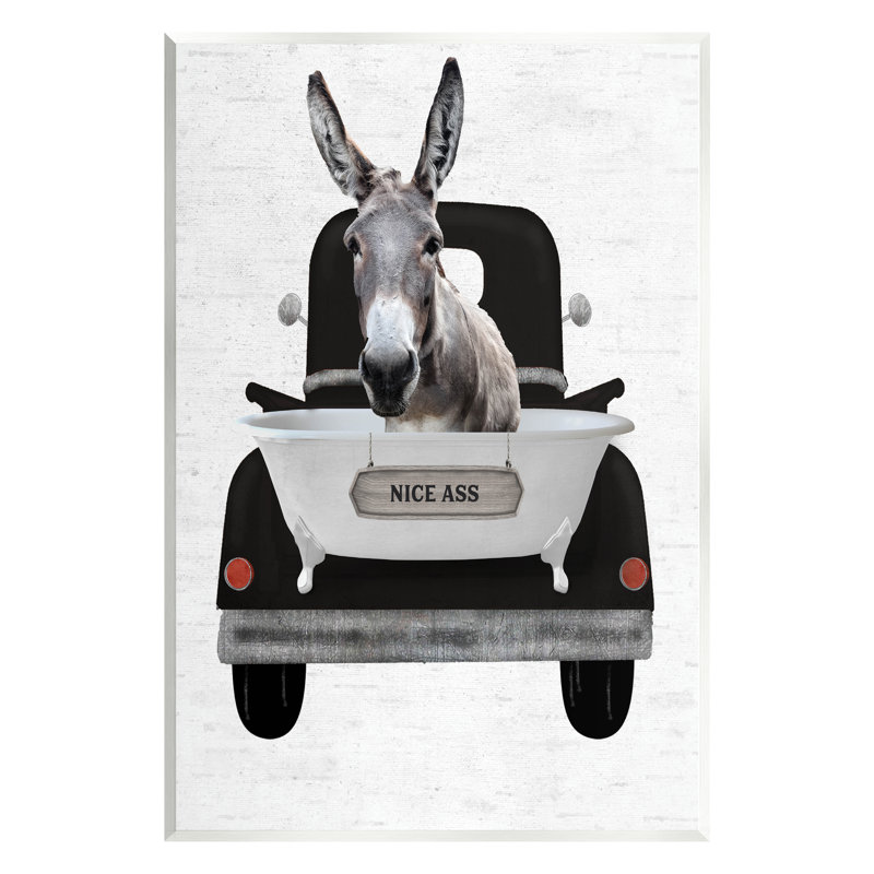 " Nice A** Donkey Phrase ", 15" H x 10" W x 0.5" D