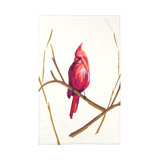 Cardinal Throw Blanket