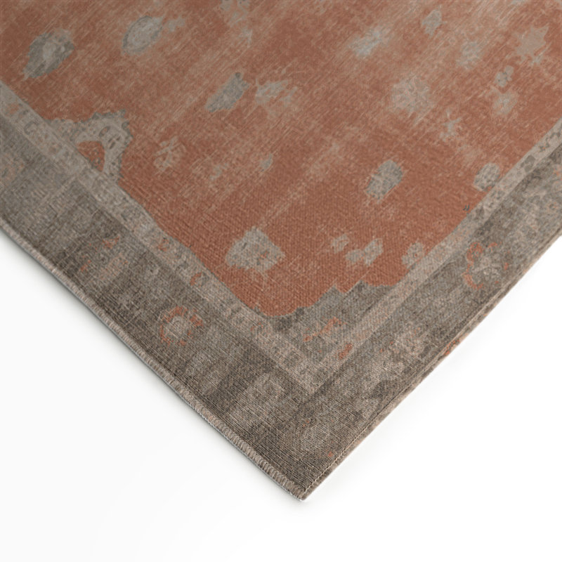 Tapis intérieur et extérieur brun Overdyed