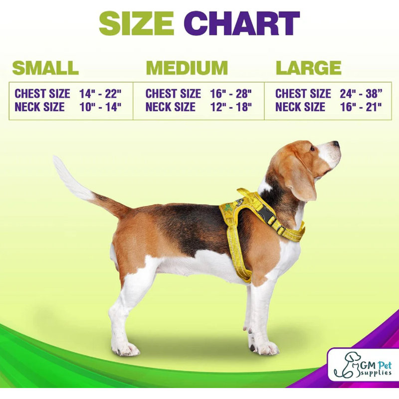 Katziela Dog Harness Walking kit and Leash Set, 1" W x 14" D x 1" H, Yellow