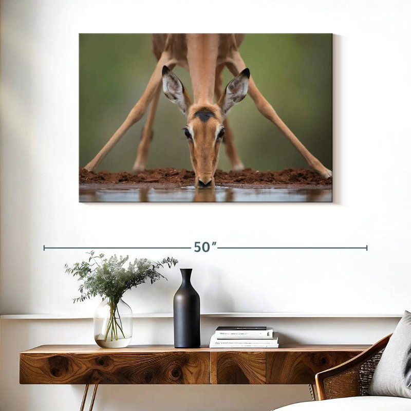 Brampt Drinking Deer, 26" H x 39" W