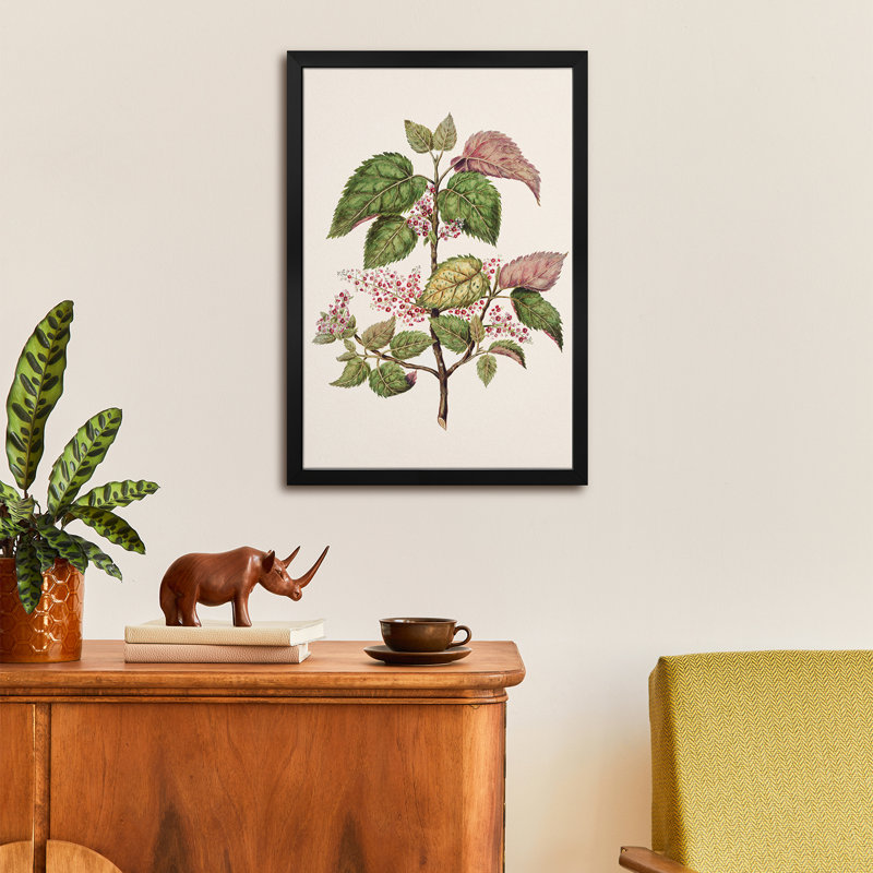 Makomako Aristotelia Racemosa - reproduction d'art murale - affiche de galerie, H 32 po x l 24 po