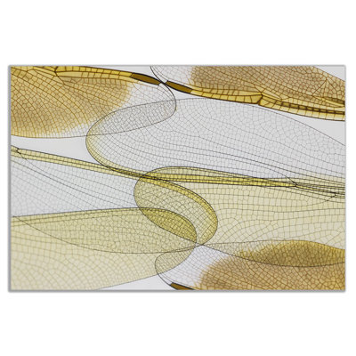 Dragonfly Wings Abstract - Wrapped Canvas Print