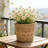 Woven Flower Pot Storage Basket