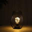 Lampe de table en métal sans cordon de 8 po de hauteur avec cage et lumières de fée-86672185