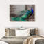 Élégant paon bleu sur toile-2034608563