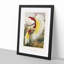 Two Birds of Paradise by Benjamin Fawcett - Framed Print-55777837-55777841