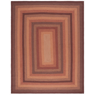 Braided Flat Weave Cotton/Others Striped Rug in Orange