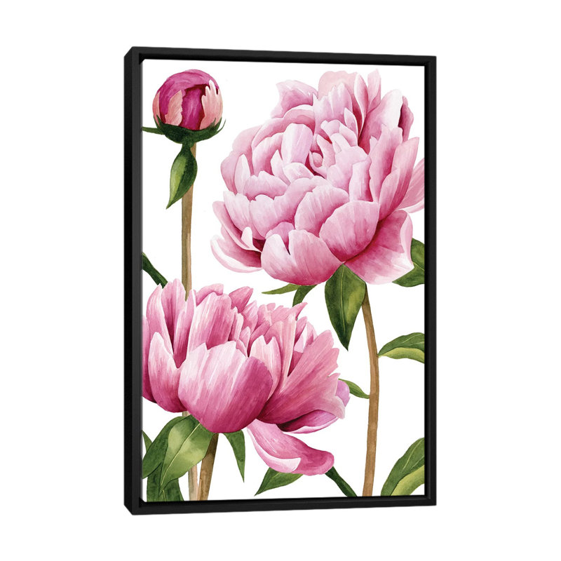 « winsome pivoines i », reproduction sur toile, H 26 po x l 18 po x P 1,5 po, Toile avec cadre noir