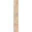 Legacy Block Outlooker-109290112-112789699
