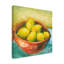 « bol of fruit iv », reproduction de peinture à l’acrylique sur toile tendue-33514453