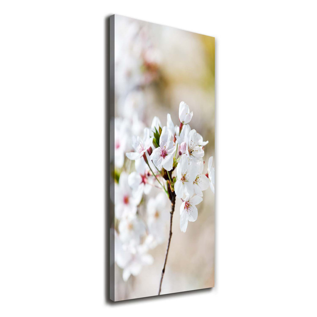 Cherry Blossoms - Wrapped Canvas Print