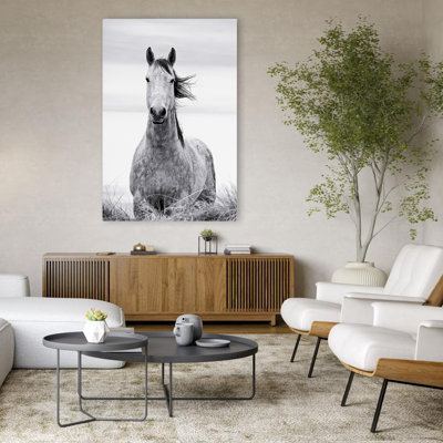 Cheval, paysage, blanc, nature, photographie, cheval, art contemporain