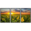Champ de tournesols tournesols sur un fond de coucher de soleil - ensemble de 3 reproductions sur toiles tendues-124478539-56497758