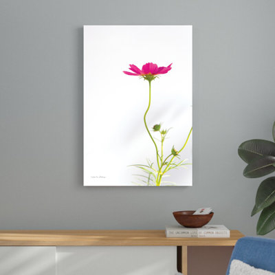 Magenta Cosmos II - imprimé