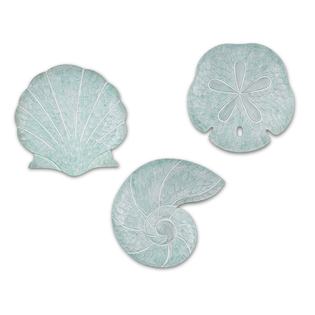 3 Piece Shells Wall Décor Set Rosecliff Heights