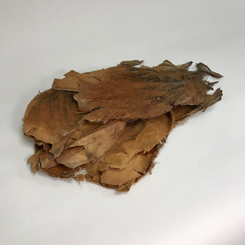Filet de palmier naturel Fossett