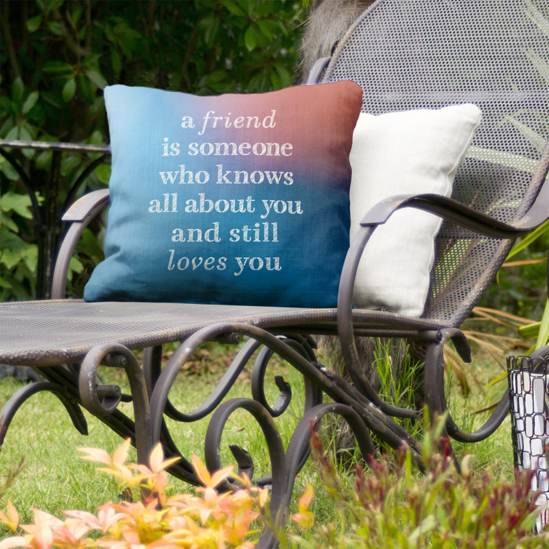 Coussin intérieur / extérieur Love and Friendship, 18 po x 18 po, Bleu / rose