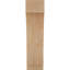 Attelle impériale du genou-29309855-31229277-31229328