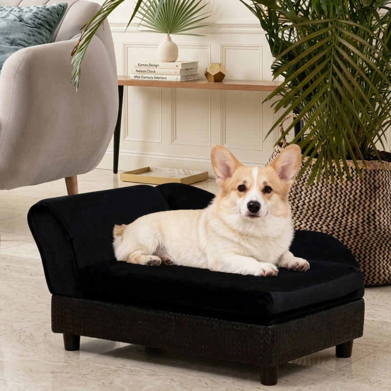 Sofa pour chien avec dossier et rangement, 30, Noir