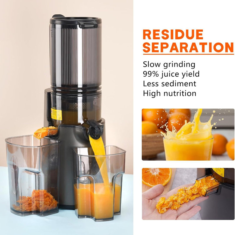 Cold Press Juicer,Slow Masticating Juicer Machines, Black