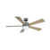 Wynd 5 - Blade Outdoor /Indoor Smart Ceiling Fan with Remote Control and LED Light Kit Included, Works With Alexa and iOS or Android App